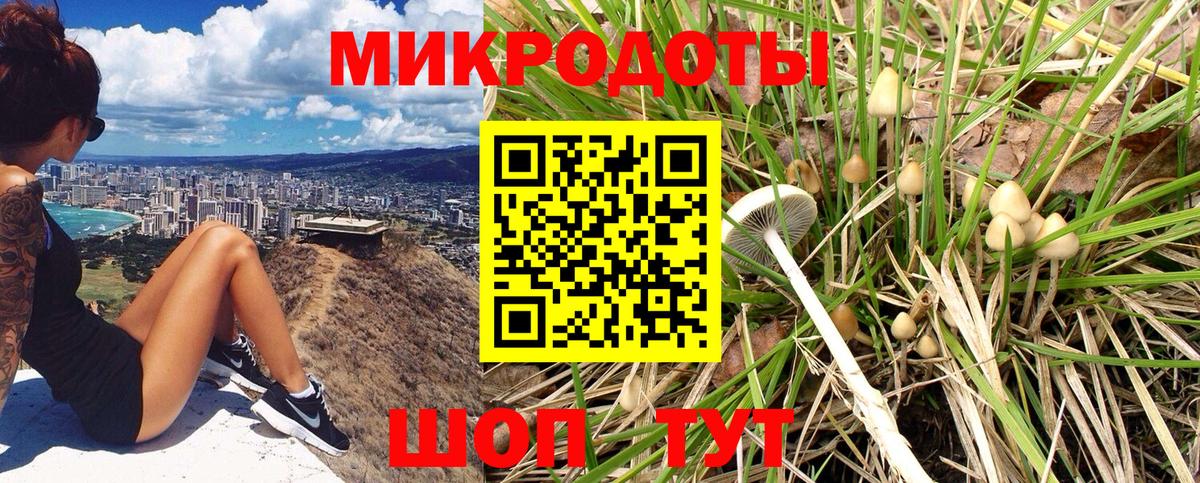 Псилоцибиновые грибы GOLDEN TEACHER  Вход с VPN  Топки 